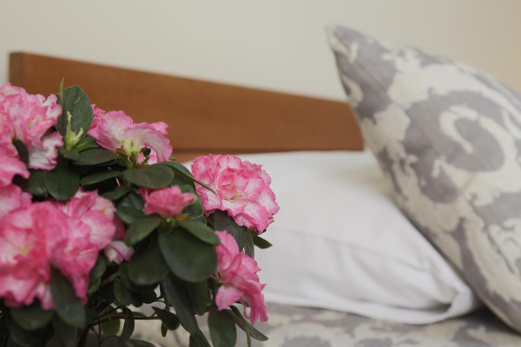 Accommodation Tara Belgrado Buitenkant foto